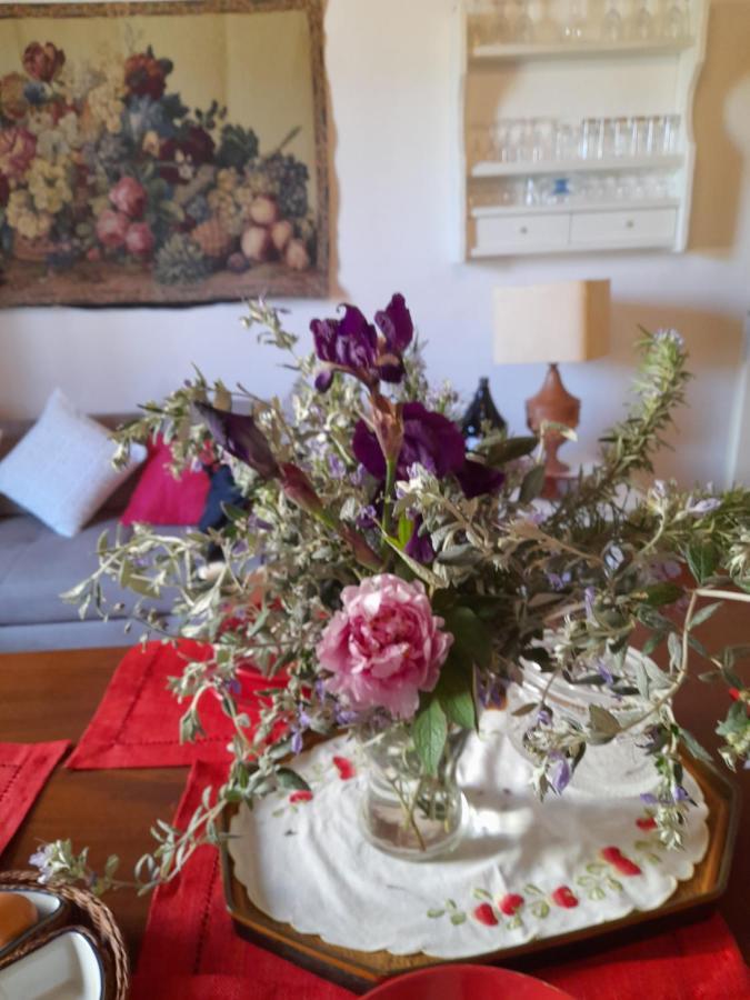 La Casa Di Paride Apartment Greve in Chianti Ngoại thất bức ảnh