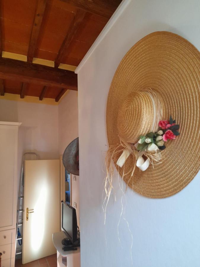 La Casa Di Paride Apartment Greve in Chianti Ngoại thất bức ảnh