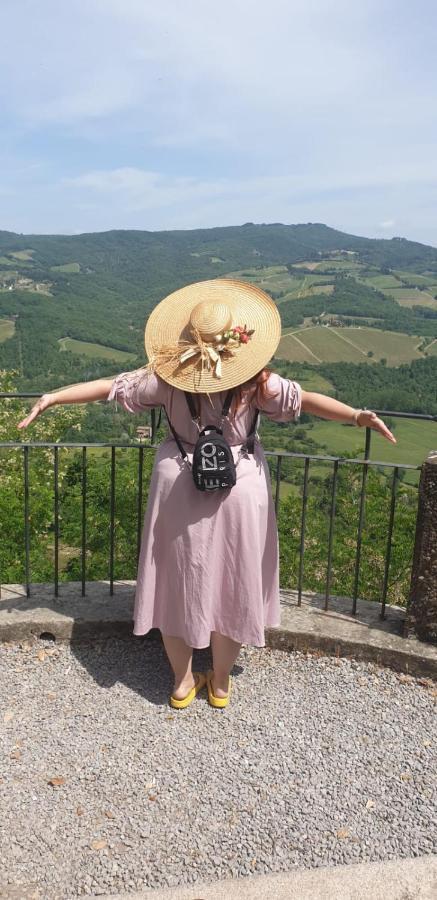 La Casa Di Paride Apartment Greve in Chianti Ngoại thất bức ảnh